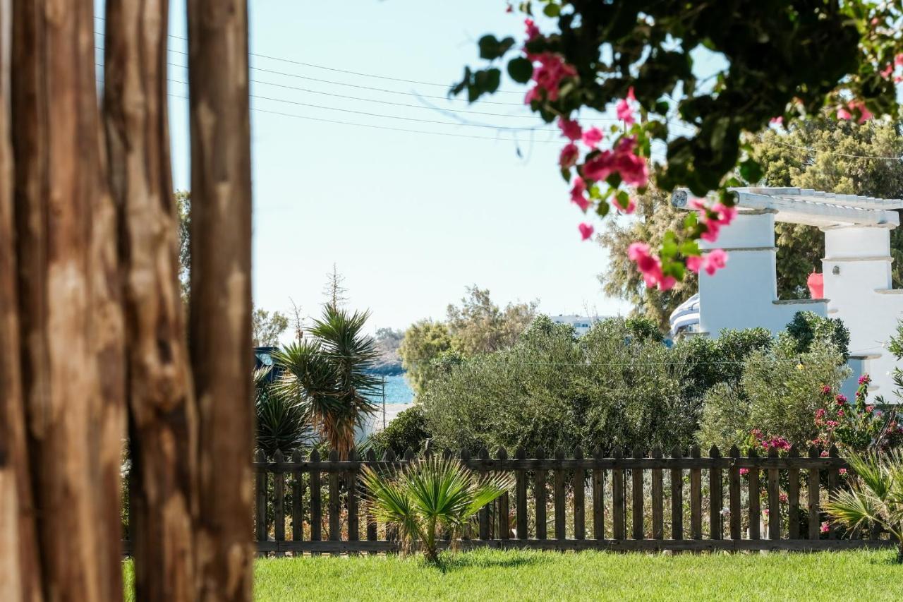 Golden Beach Studios & Suites Tínos Exteriér fotografie