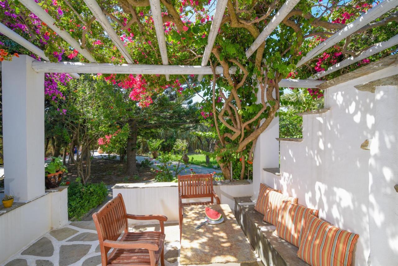 Golden Beach Studios & Suites Tínos Exteriér fotografie