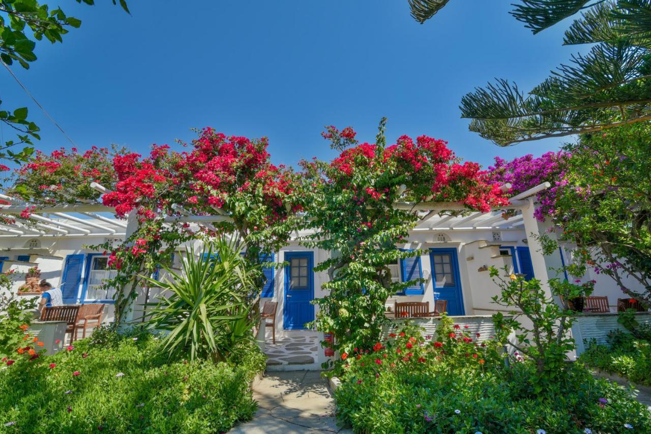 Golden Beach Studios & Suites Tínos Exteriér fotografie