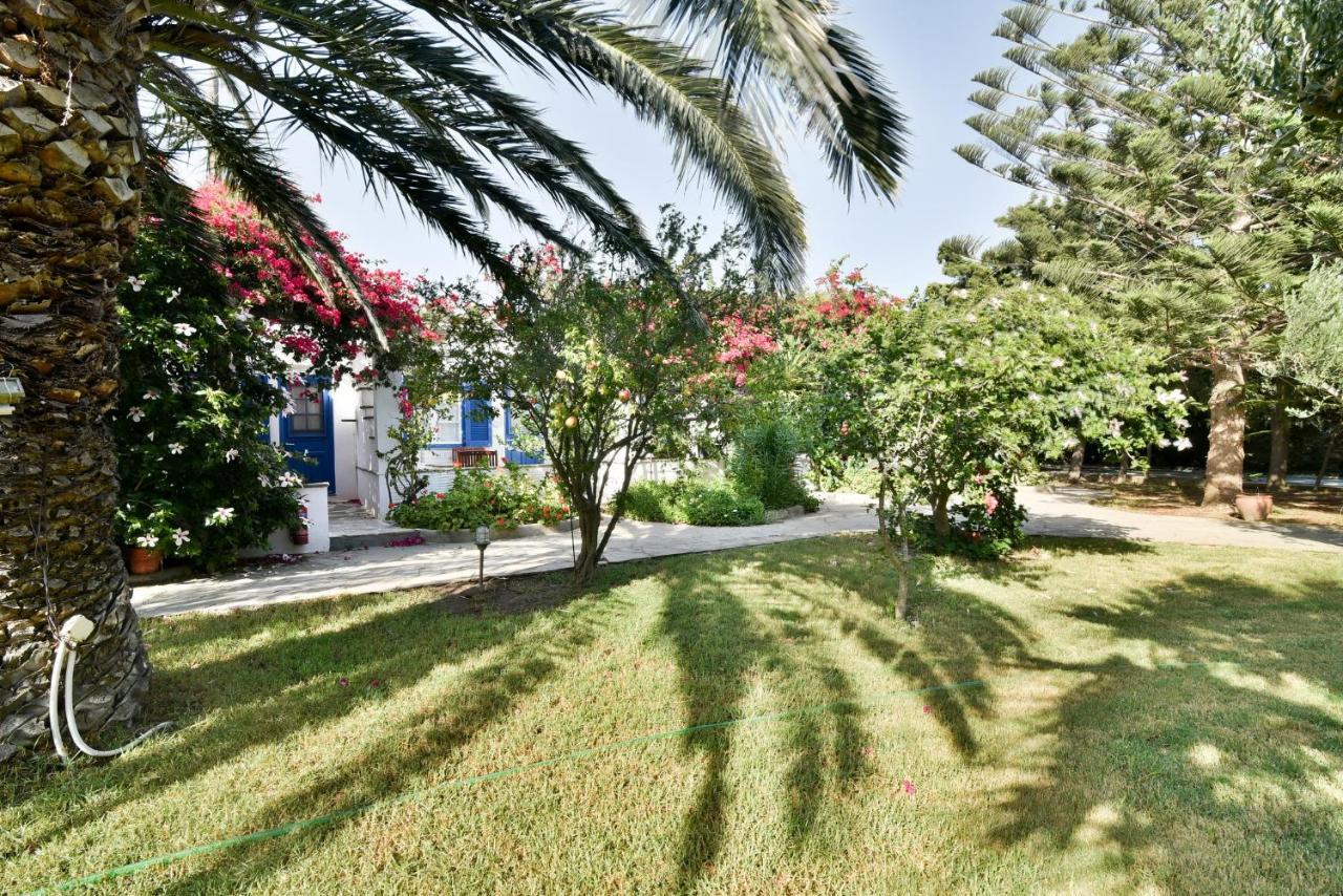 Golden Beach Studios & Suites Tínos Exteriér fotografie